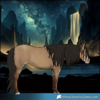 Horse Color:Gray Classic Champagne Dun Rabicano 