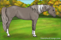 Horse Color:Silver Grullo Tobiano 