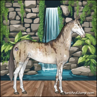 Horse Color:Liver Red Dun Sabino Brindle 