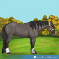 Horse Color:Smoky Grullo Sabino Rabicano