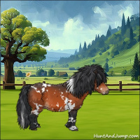 Horse Color:White Spotted Bay 