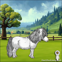 Horse Color:White Spotted Bay Chinchilla Appaloosa 