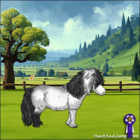 Horse Color:White Spotted Bay Chinchilla 