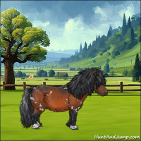 Horse Color:White Spotted Bay 