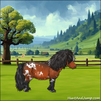 Horse Color:White Spotted Bay 