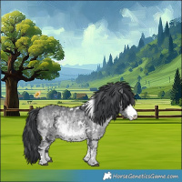 Horse Color:White Spotted Bay Chinchilla 