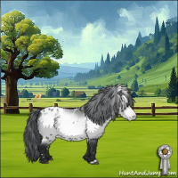 Horse Color:White Spotted Bay Chinchilla Appaloosa 