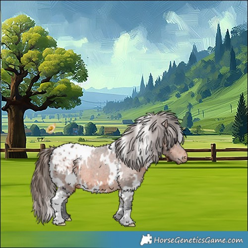 Horse Color:White Spotted Bay Appaloosa 