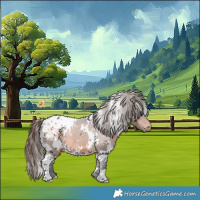 Horse Color:White Spotted Bay Appaloosa 