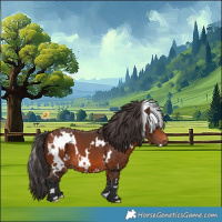 Horse Color:White Spotted Bay 