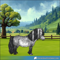 Horse Color:White Spotted Brown Chinchilla 