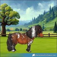 Horse Color:White Spotted Bay 