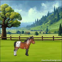 Horse Color:White Spotted Brown Appaloosa 