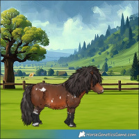 Horse Color:White Spotted Bay 