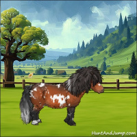 Horse Color:White Spotted Brown 