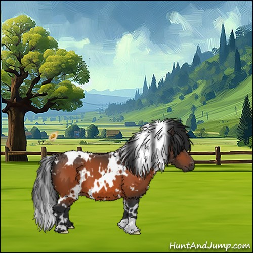 Horse Color:White Spotted Bay
