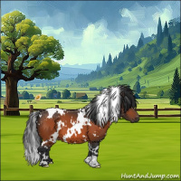 Horse Color:White Spotted Bay 