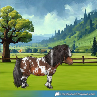 Horse Color:White Spotted Brown 