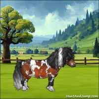 Horse Color:White Spotted Brown 