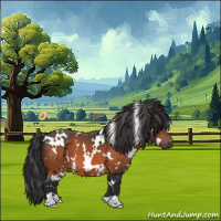 Horse Color:White Spotted Bay 