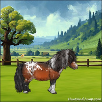 Horse Color:White Spotted Bay Appaloosa