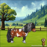 Horse Color:White Spotted Bay 