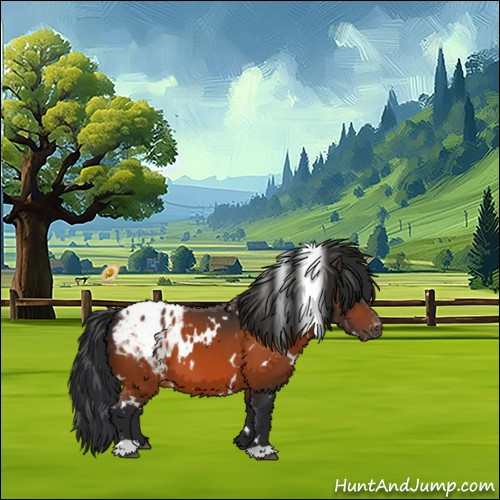 Horse Color:White Spotted Bay Appaloosa 