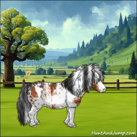 Horse Color:White Spotted Bay Appaloosa