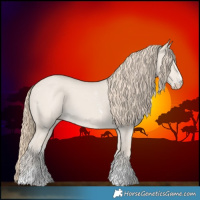 Horse Color:Smoky Creme Dun Sabino Rabicano 