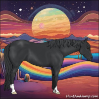 Horse Color:Black Chinchilla 