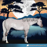 Horse Color:Chocolate Silver Grullo Chinchilla