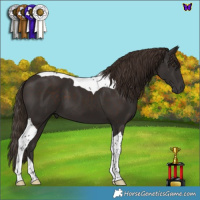 Horse Color:Liver Chestnut Tobiano 