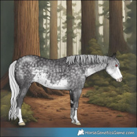 Horse Color:Silver Smoky Black Chinchilla 
