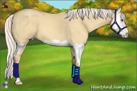 Horse Color:Silver Classic Cream Champagne Dun Splash Frame 