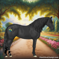 Horse Color:Black 