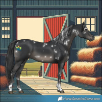 Horse Color:White Spotted Black Tobiano 