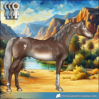 Horse Color:Gray White Spotted Chocolate Silver Brown Dun Tobiano Brindle