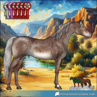 Horse Color:Chocolate Silver Brown Dun Mushroom Brindle 