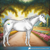 Horse Color:Gray White Spotted Chocolate Palomino Dun Blanket 