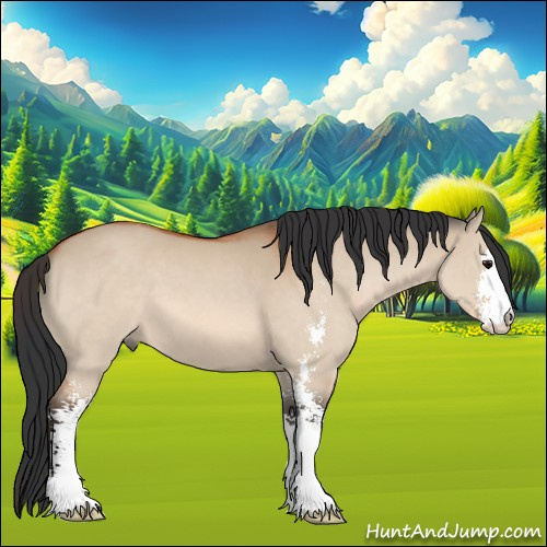 Horse Color:Bay Dun Sabino 