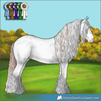 Horse Color:Liver Chestnut Sabino 