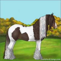 Horse Color:Liver Chestnut Tobiano 