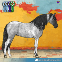 Horse Color:Blue Roan Tobiano