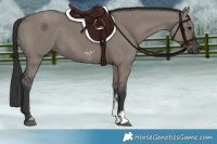 Horse Color:Grullo Sabino Rabicano