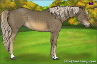 Horse Color:Chocolate Palomino Mushroom Rabicano 