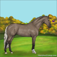 Horse Color:Liver Red Dun Mushroom Rabicano 