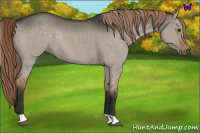 Horse Color:Liver Red Dun Rabicano 