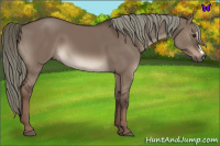 Horse Color:Liver Red Dun Mushroom 