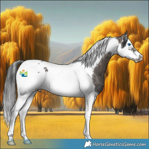 Horse Color:Brown Ice Dun Splash Tobiano Frame 