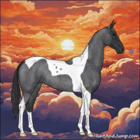 Horse Color:Blue Roan Tobiano 